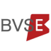 BVSE,品值链,BVSE