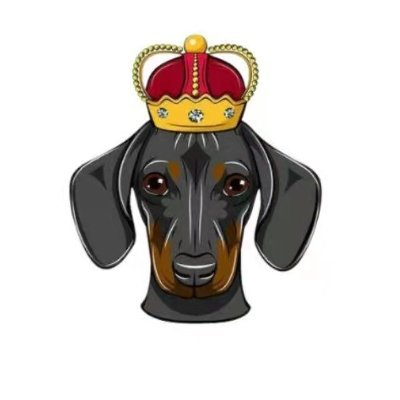 DOGEKING,DogeKing