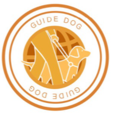 GDG,GDG