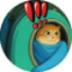 HOSICO,Hosico cat